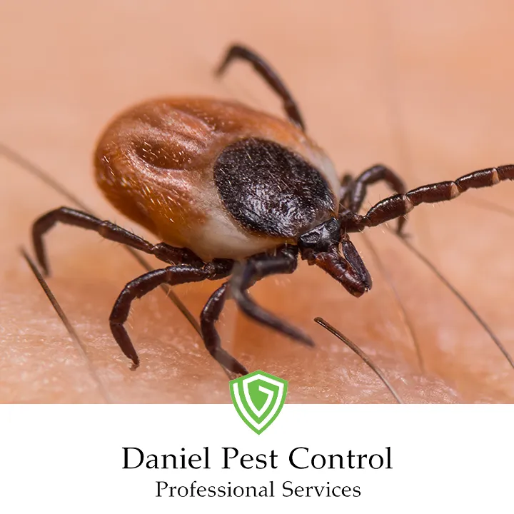 Daniel Pest Control in Seguin, TX — business photo 5