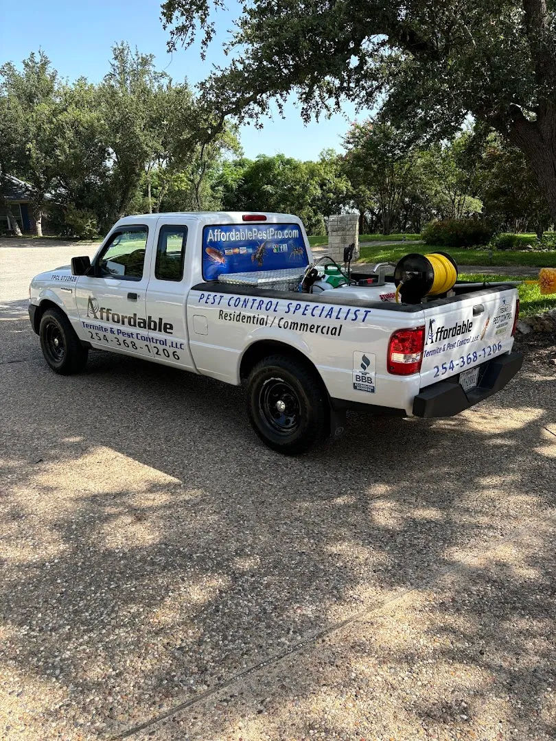 Affordable Termite & Pest Control, LLC in Belton, TX — business photo 4