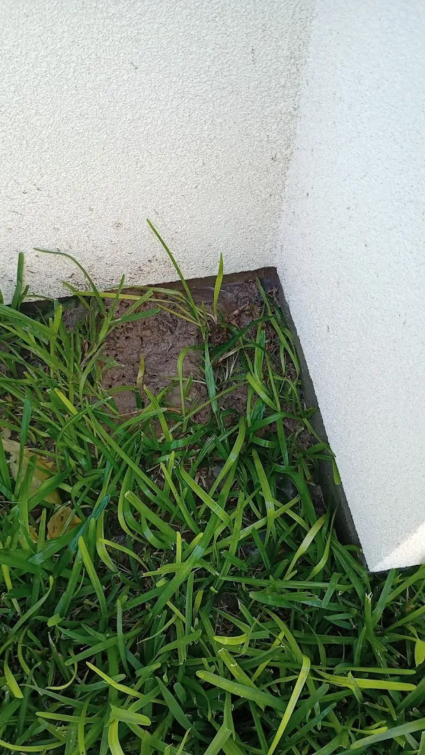 Cantu Pest Pro in Edinburg, TX — business photo 5