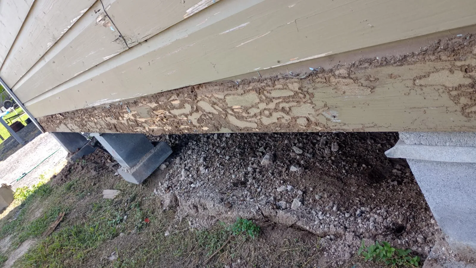 Cantu Pest Pro in Edinburg, TX — business photo 6