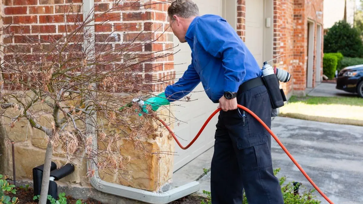 Pest Solutions of North Texas in McKinney, TX — business photo 2