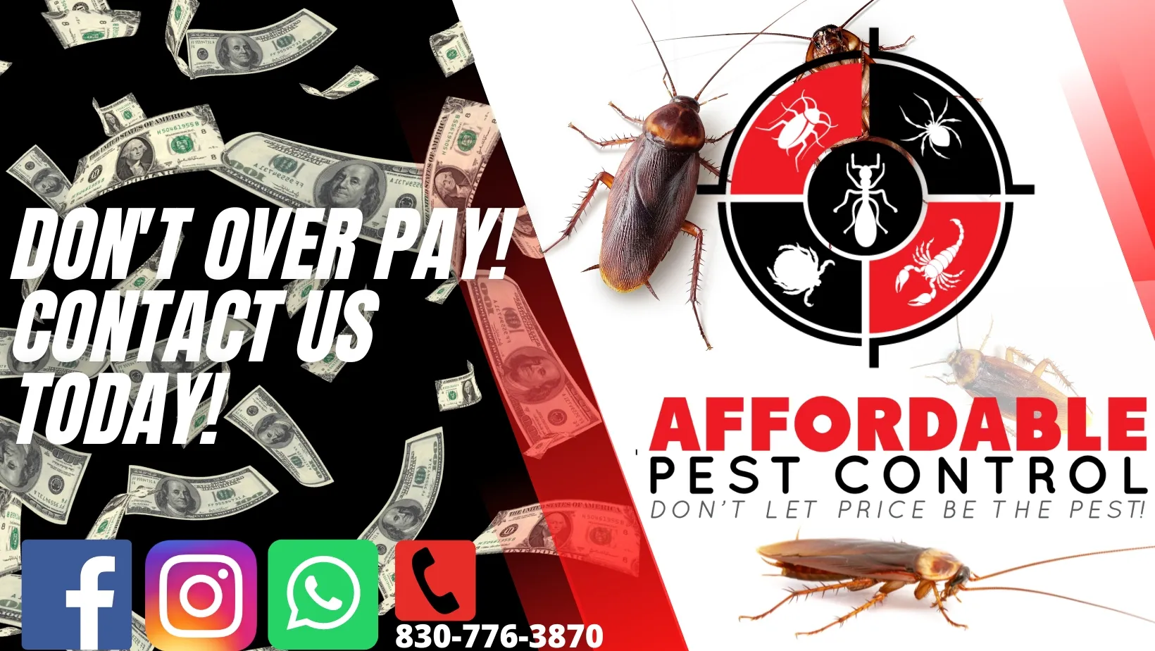 Affordable Pest Control in Eagle Pass, TX — business photo 4