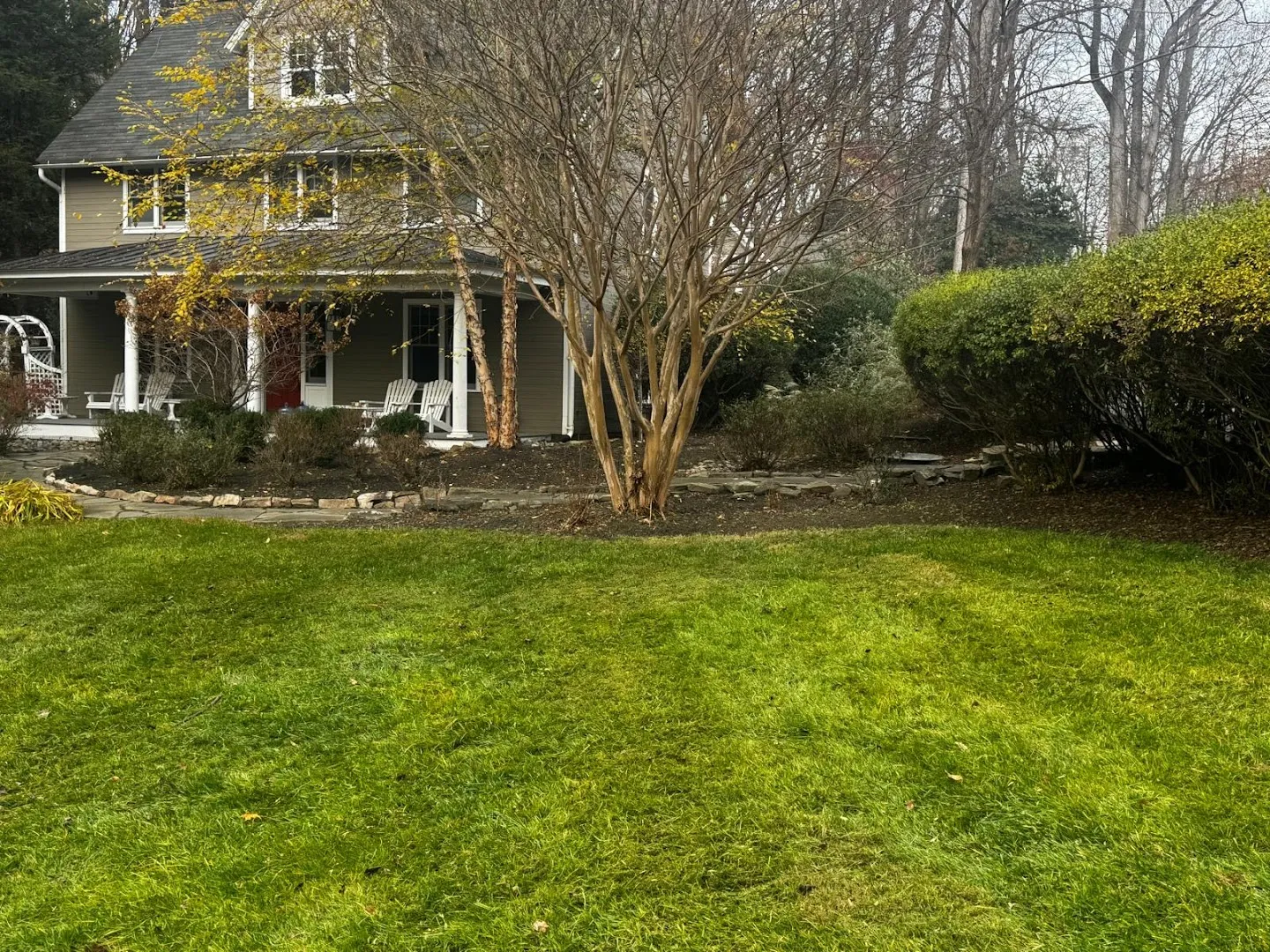 Premium Cut Lawn Service in Austin, TX — business photo 2