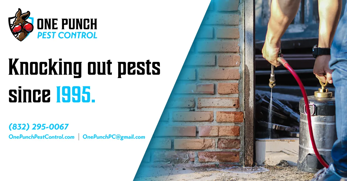 One Punch Pest Control in Houston, TX — business photo 3