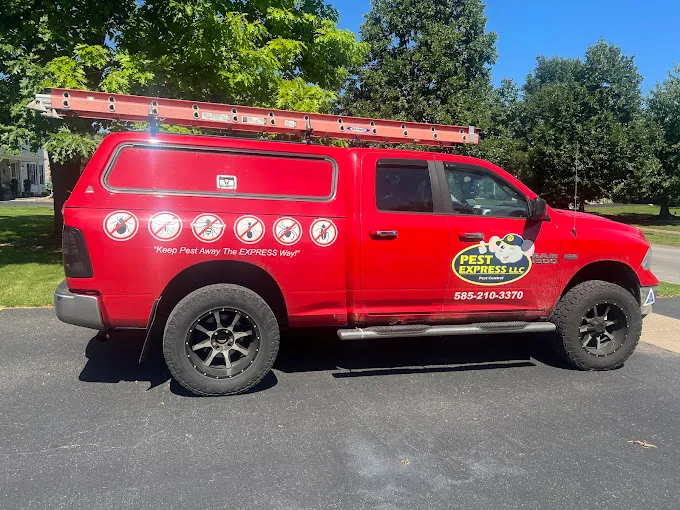 Pest Express LLC — pest control in Angleton, BRAZORIA County, TX