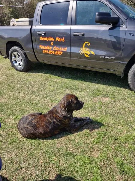 Scorpion Pest & Termite Control LLC in Anderson, TX — business photo 3