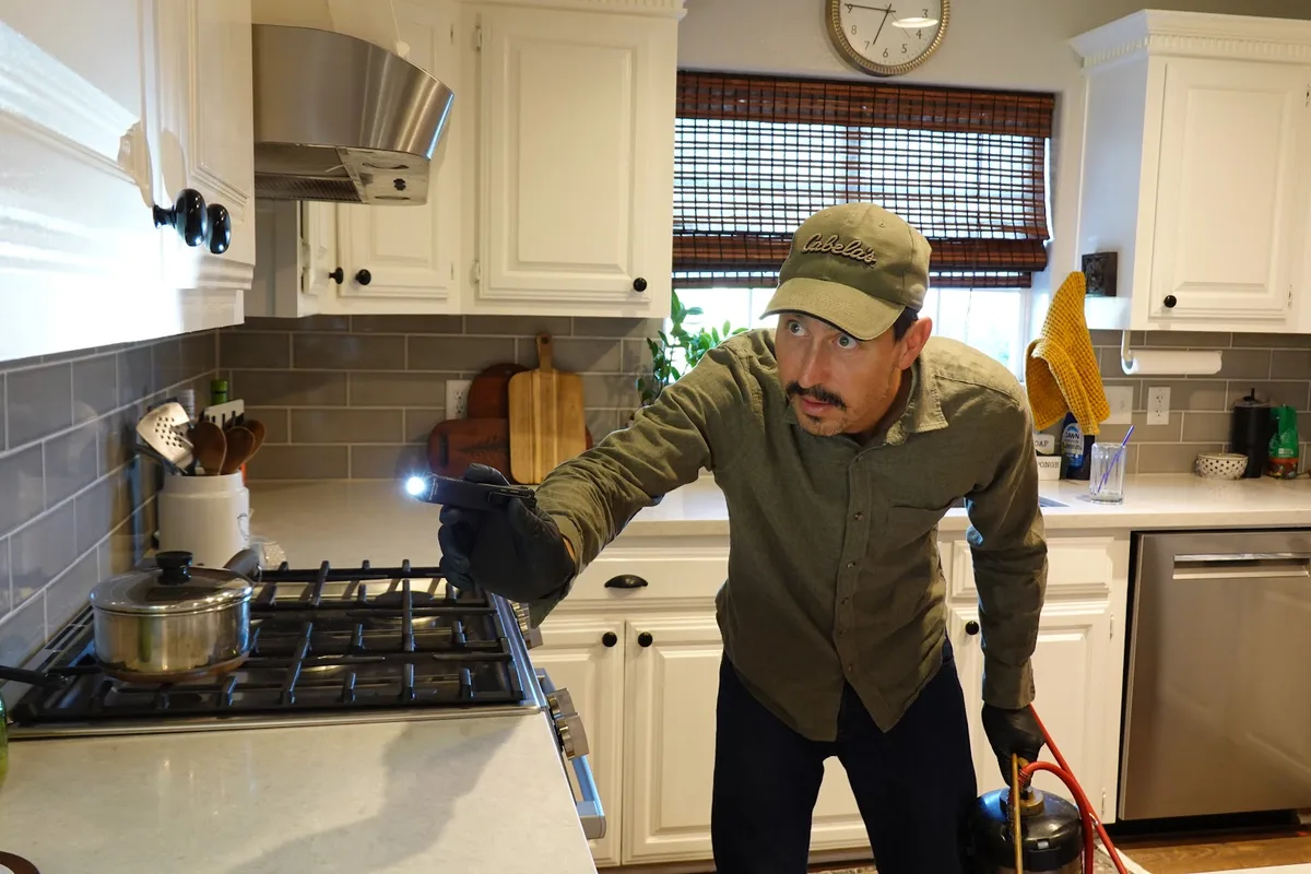 Bug-N-Out Pest Control — pest control in Houston, HARRIS County, TX