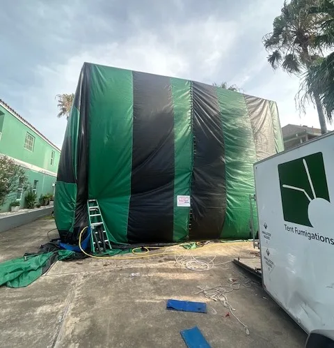 Bug-N-Out Pest Control in Houston, TX — business photo 4