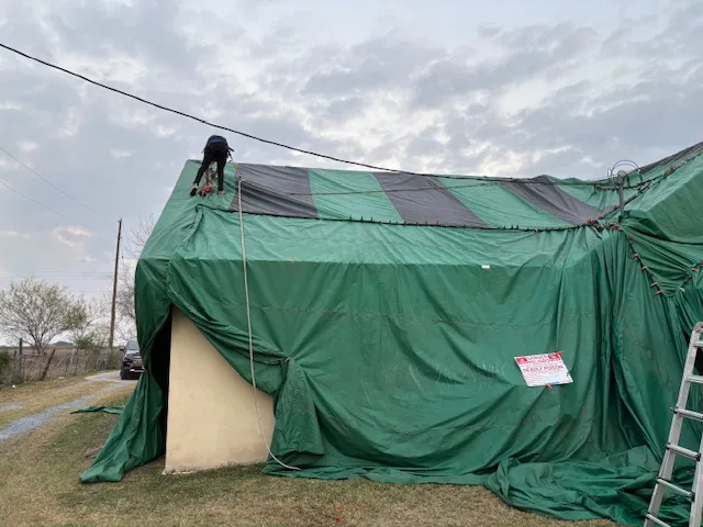 Bug-N-Out Pest Control in Houston, TX — business photo 5