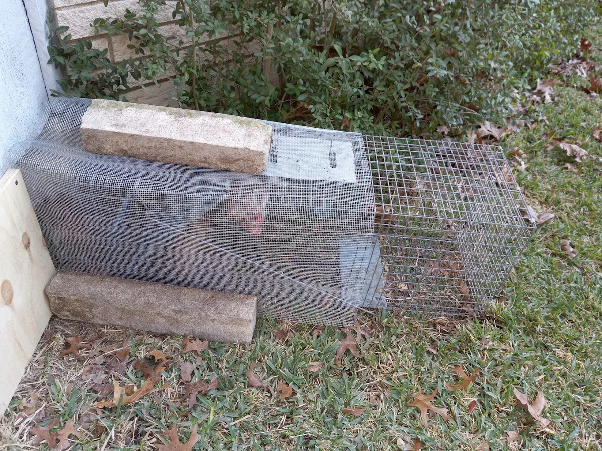 Lake Highlands Pest Control in Dallas, TX — business photo 4