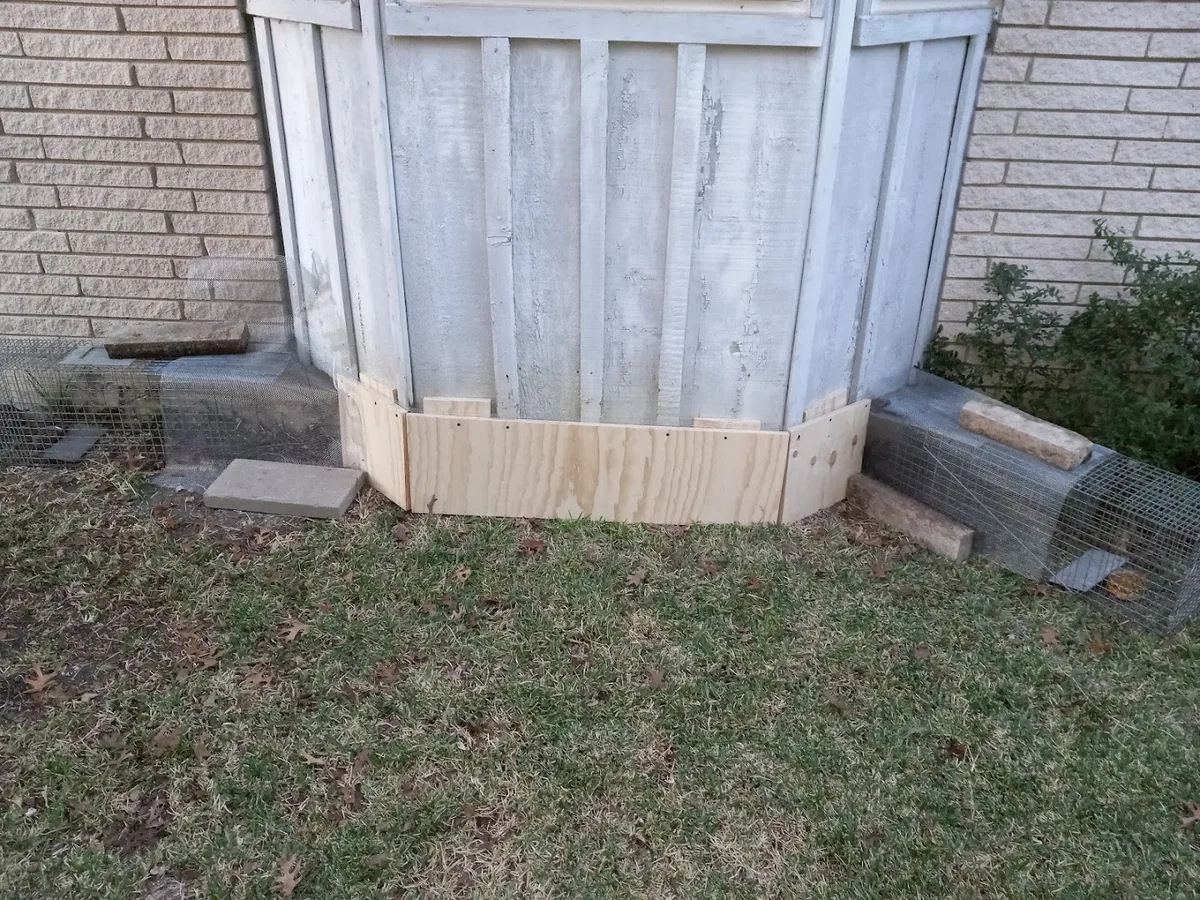 Lake Highlands Pest Control in Dallas, TX — business photo 5