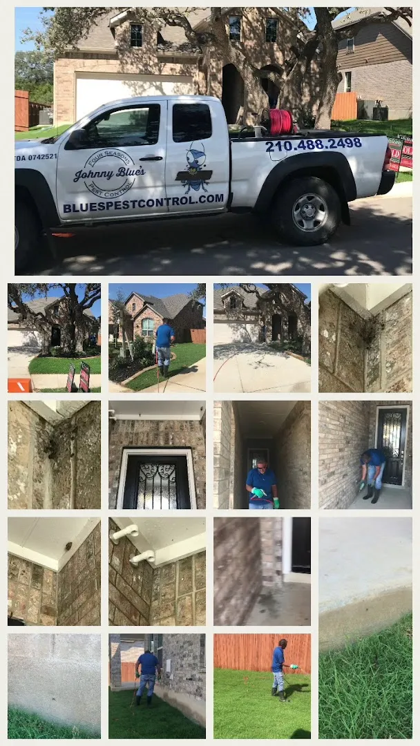 Johnny Blue's Four Seasons Pest Control in San Antonio, TX — business photo 4