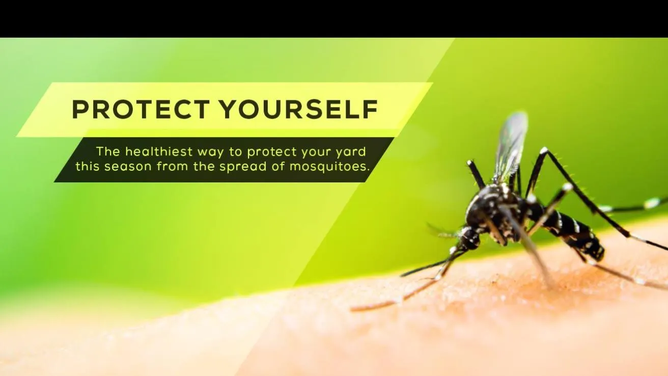 Barefoot Mosquito & Pest Control - Austin Texas — pest control in Austin, TRAVIS County, TX