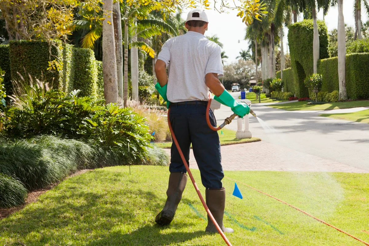 360 Pest Solutions, LLC | in San Antonio, TX — business photo 2