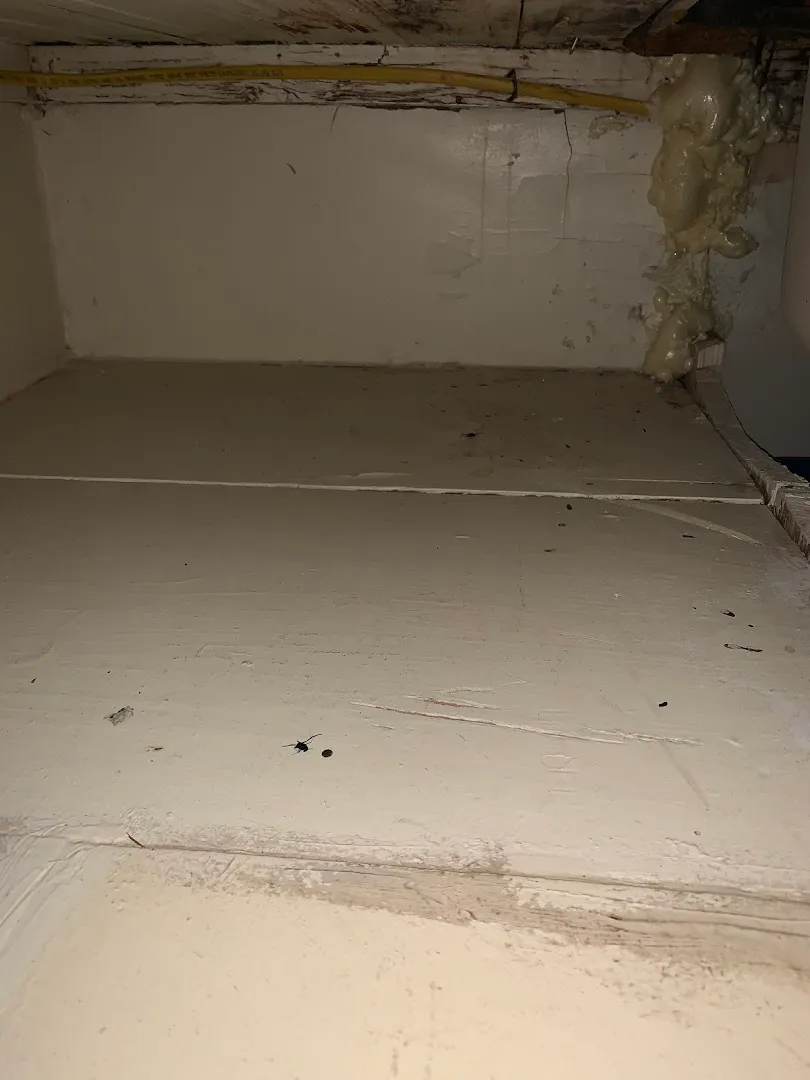 Massey Services Pest Control in Austin, TX — business photo 5