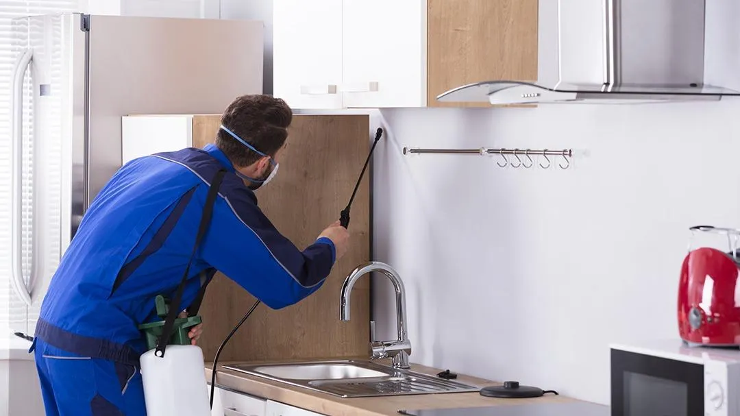 Charter Pest Control — pest control in Houston, HARRIS County, TX