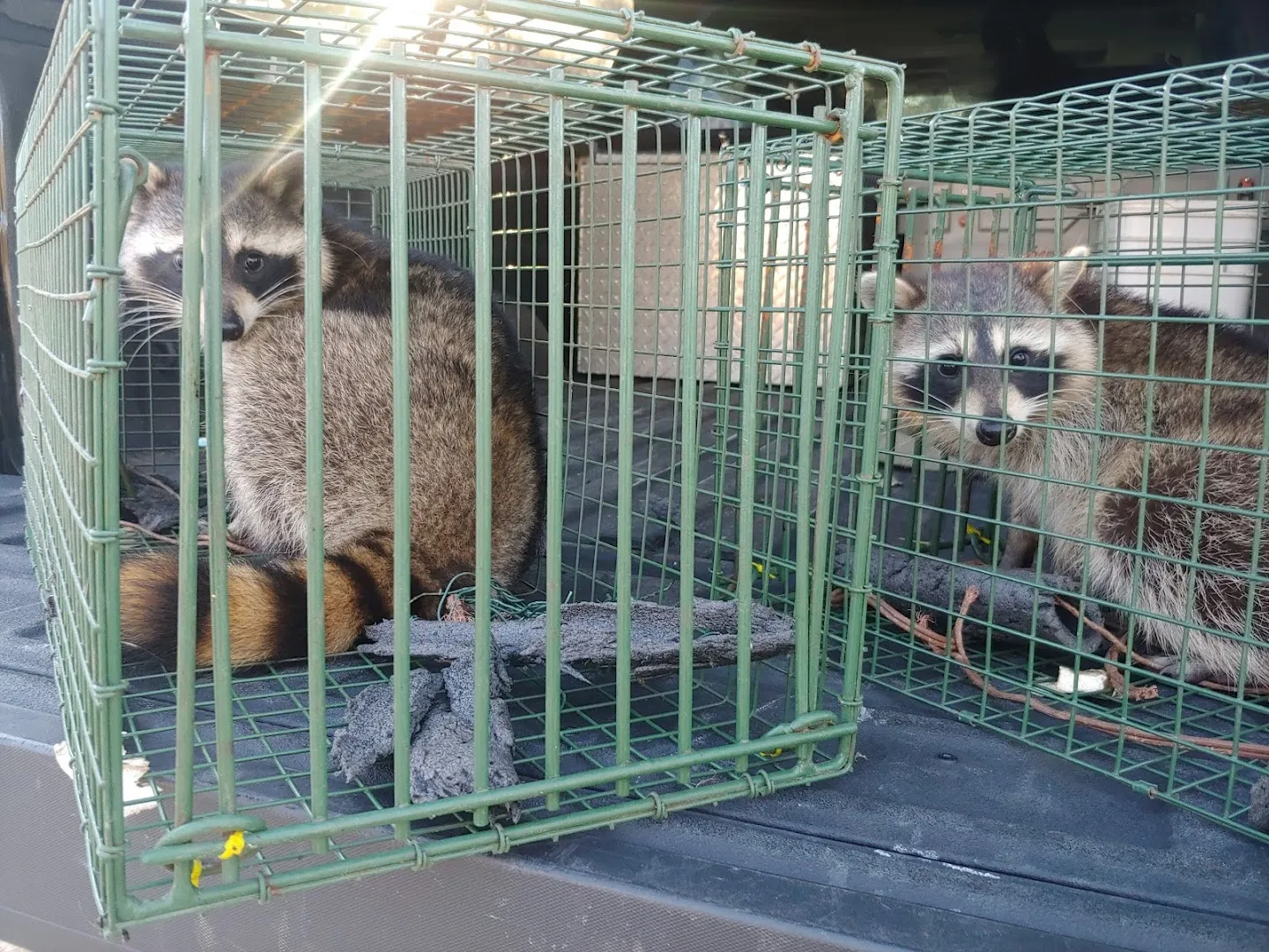 Global Pest Control in Hempstead, TX — business photo 4