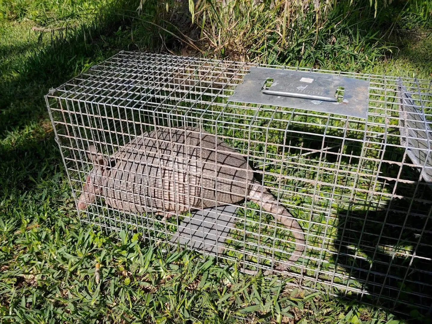 Global Pest Control in Hempstead, TX — business photo 5