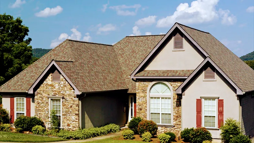 Texas Reliable Inspections — pest control in Dallas, DALLAS County, TX
