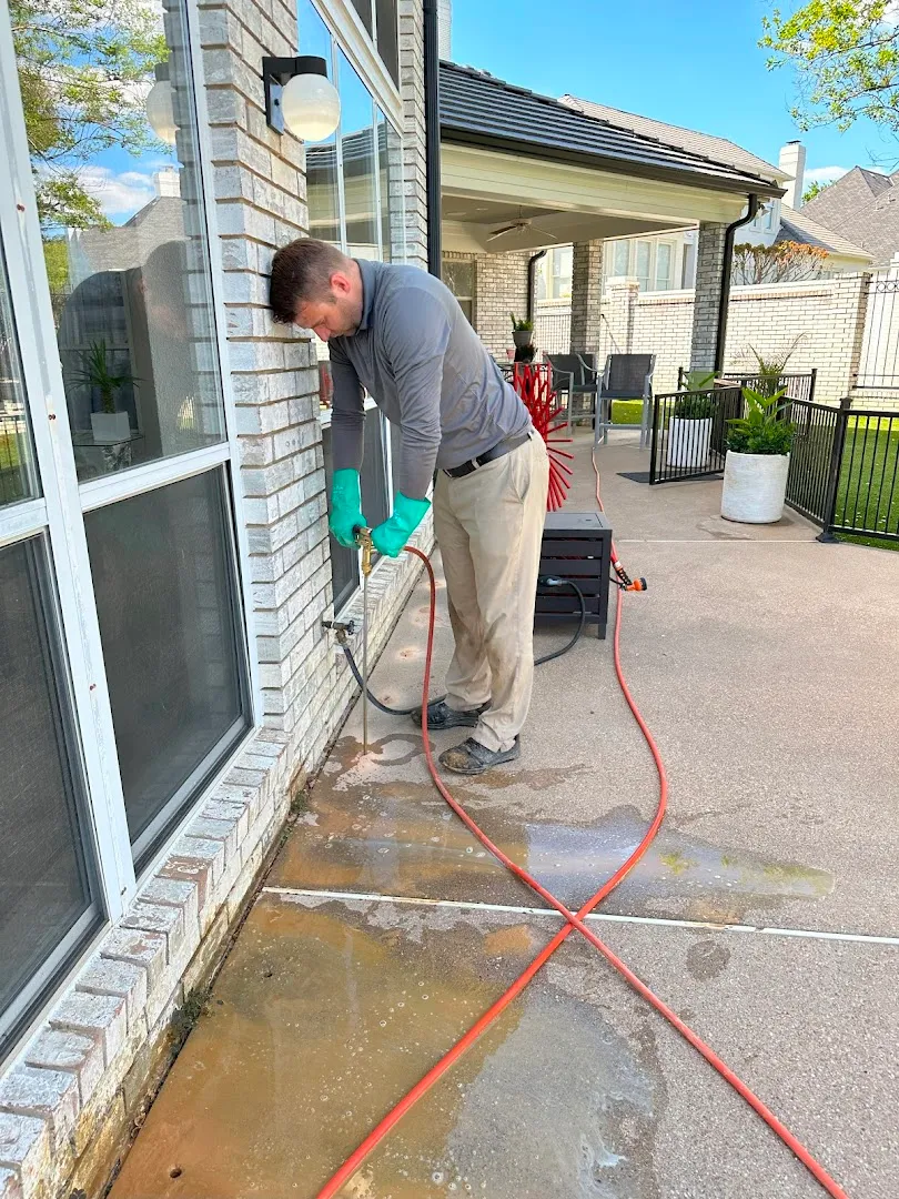 Ally Pest and Termite — pest control in Fort Worth, TARRANT County, TX