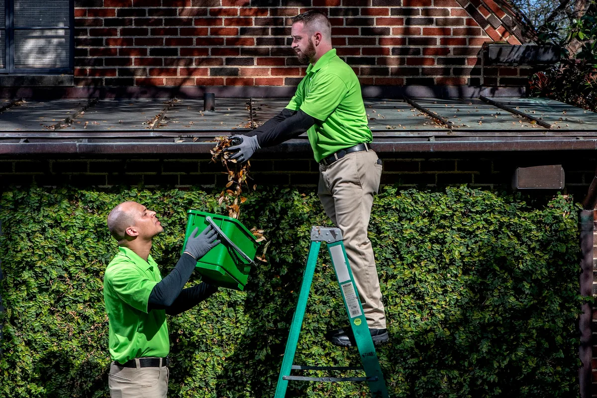 Green Army in Richardson, TX — business photo 6
