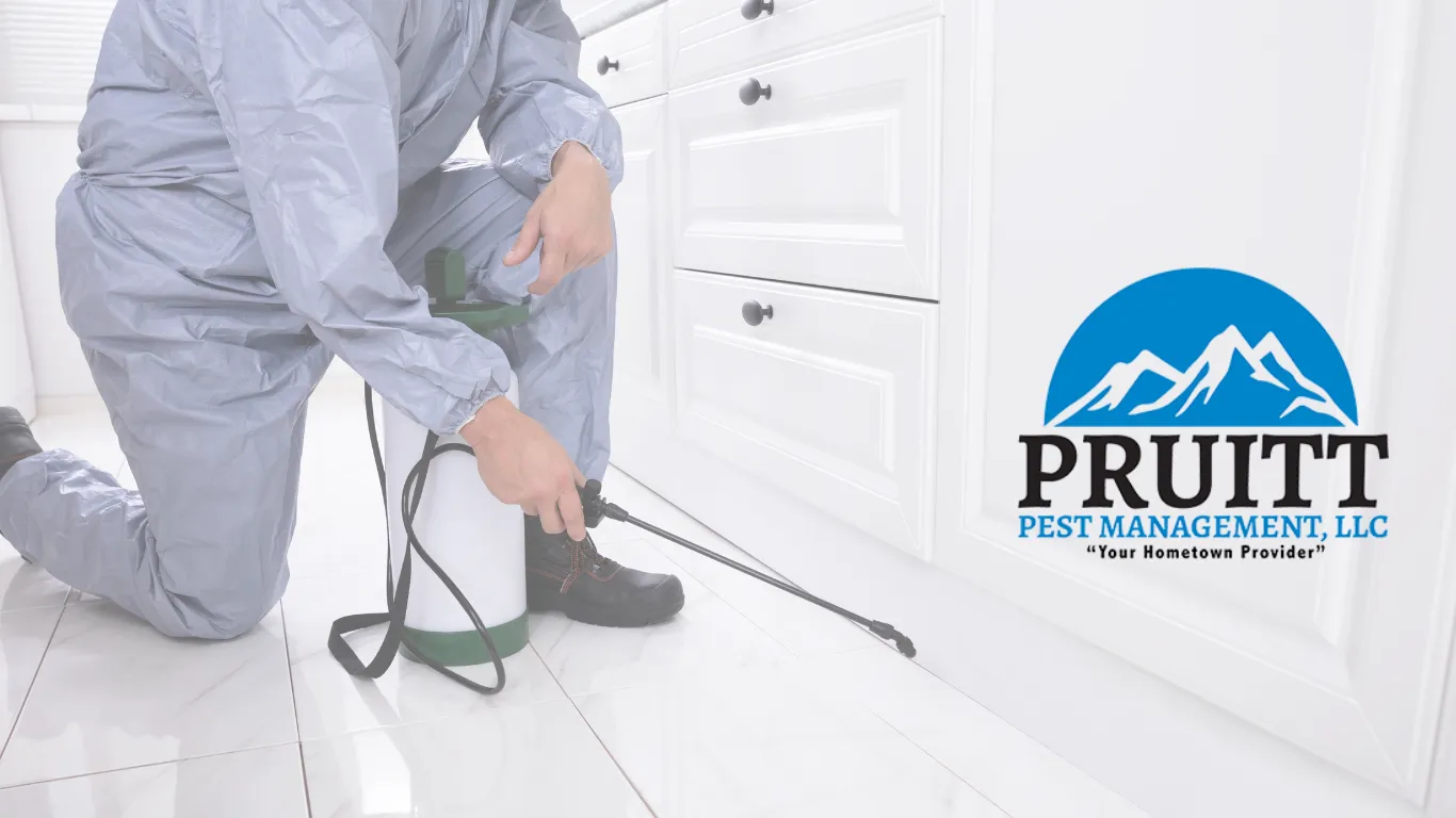 Pruitt Pest Management — pest control in Henrietta, CLAY County, TX