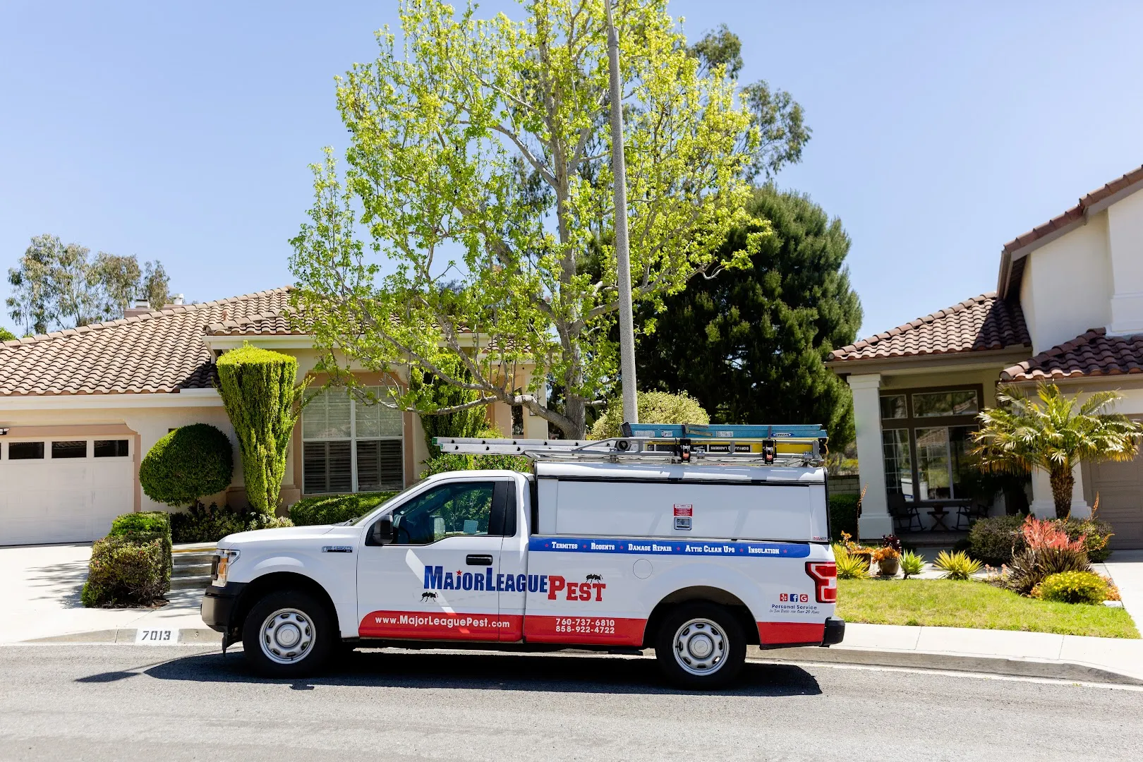 Major League Pest in Tyler, TX — business photo 2