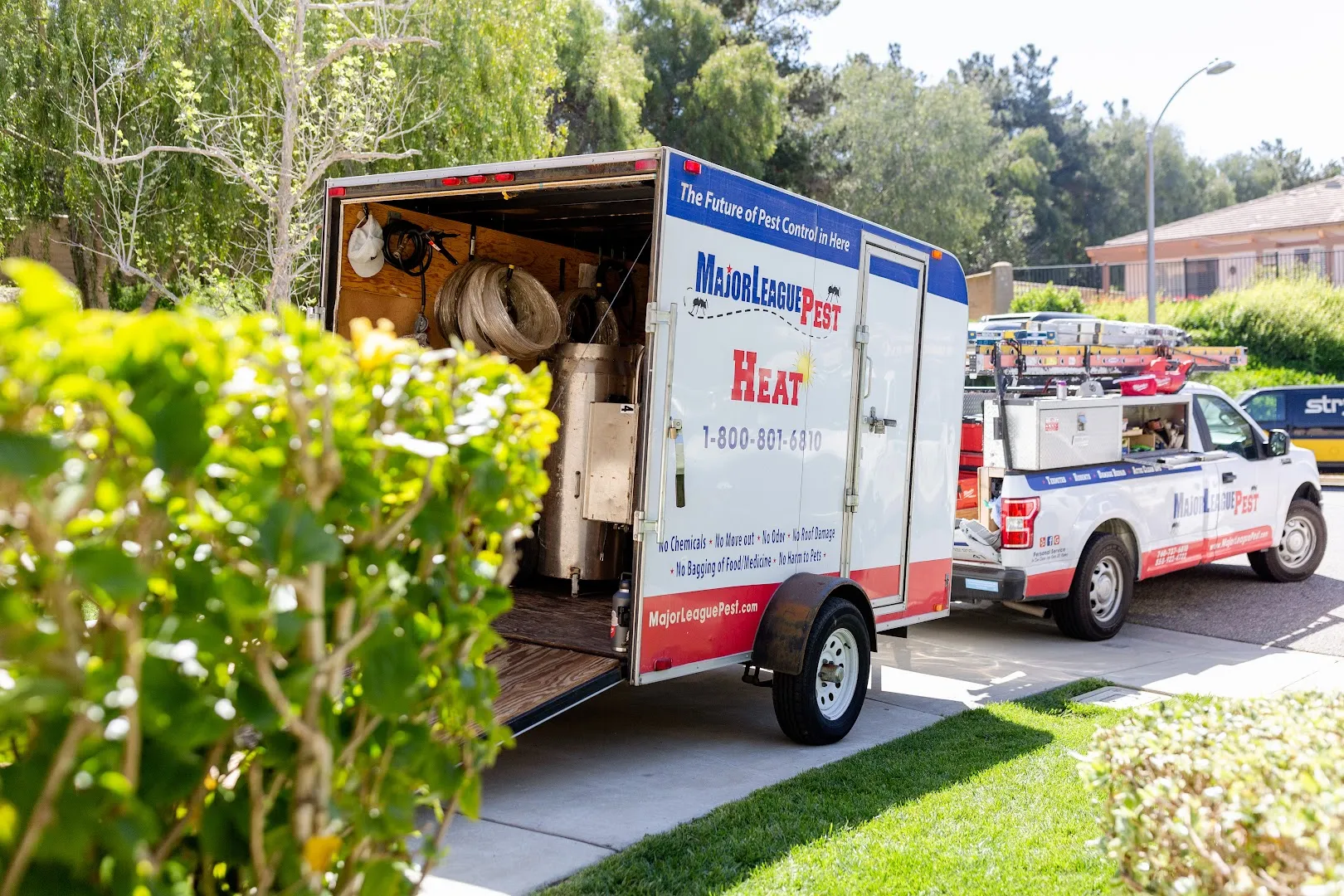 Major League Pest in Tyler, TX — business photo 4