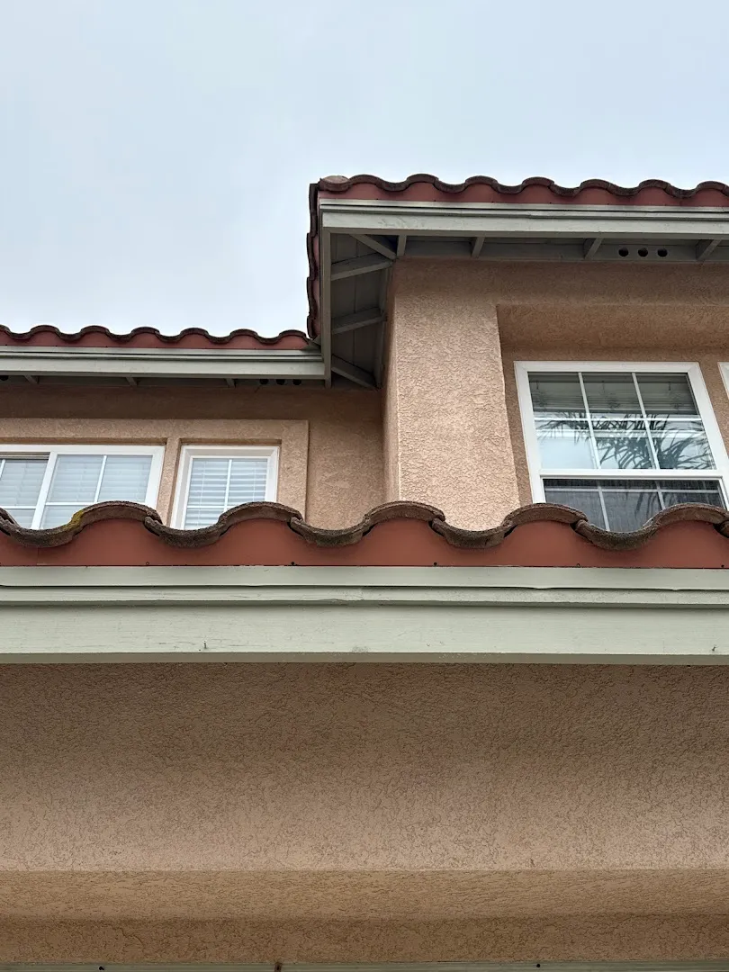 Major League Pest in Tyler, TX — business photo 5