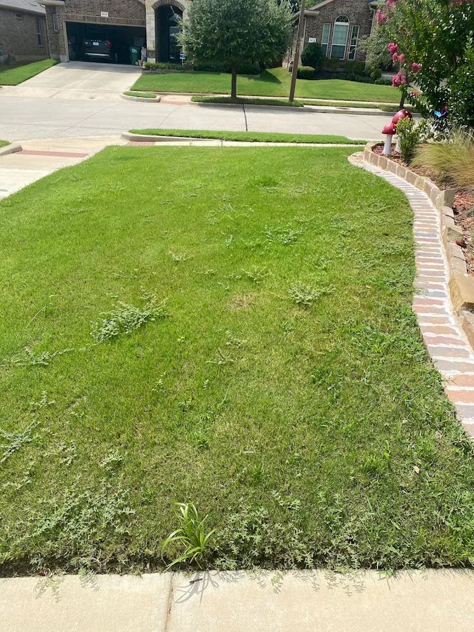 TruGreen Lawn Care in Carrollton, TX — business photo 3