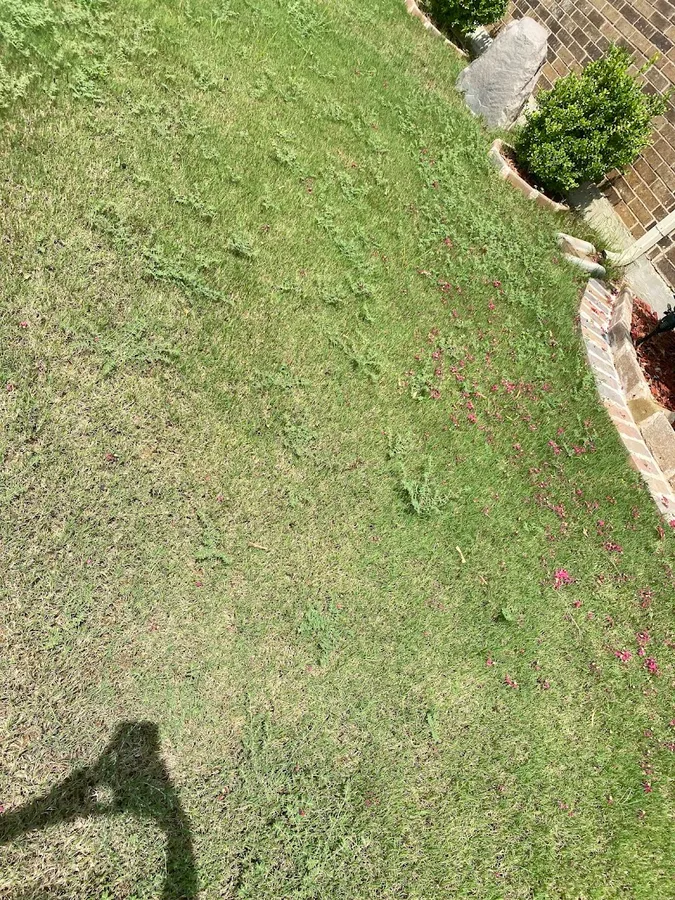 TruGreen Lawn Care in Carrollton, TX — business photo 5
