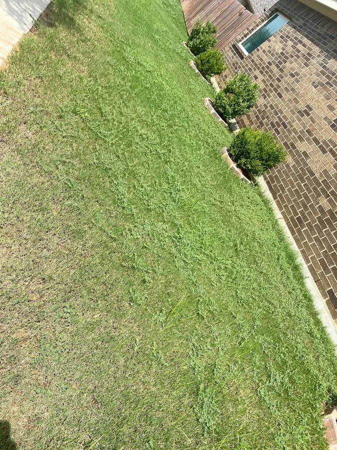 TruGreen Lawn Care in Carrollton, TX — business photo 6