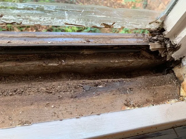 Campbell Pest Control — pest control in Dallas, DALLAS County, TX