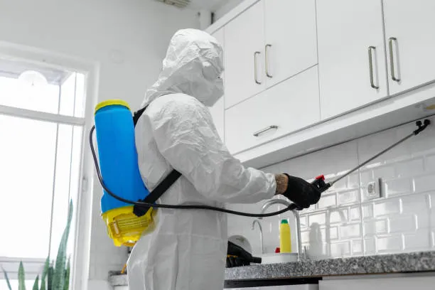 Prime Houston Pest Control in Houston, TX — business photo 2