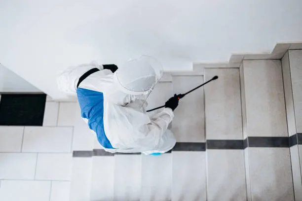 Prime Houston Pest Control in Houston, TX — business photo 4