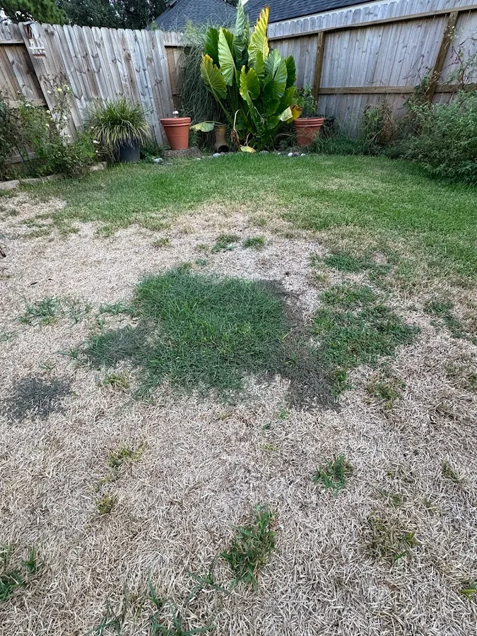 Lawn Doctor of Cypress in Houston, TX — business photo 2