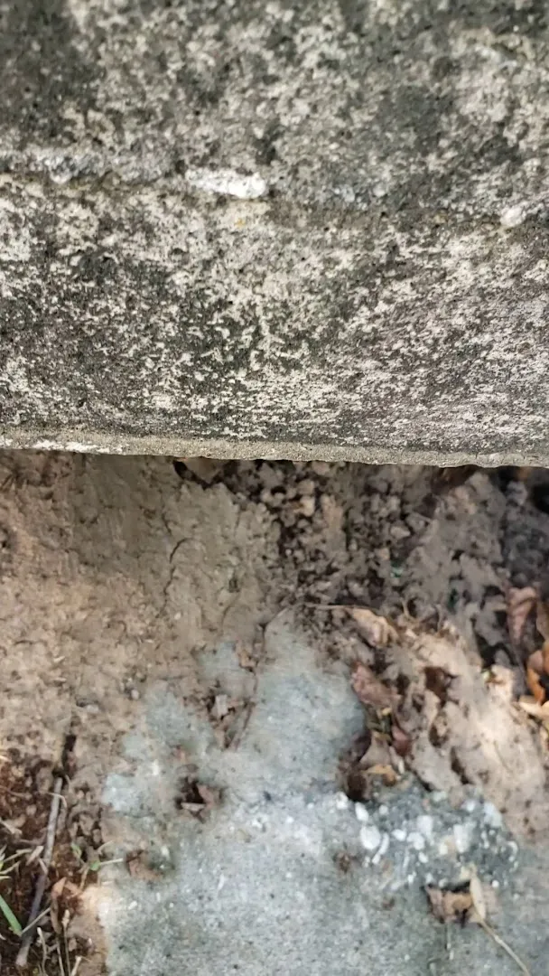 Peacock Pest Prevention in Houston, TX — business photo 3