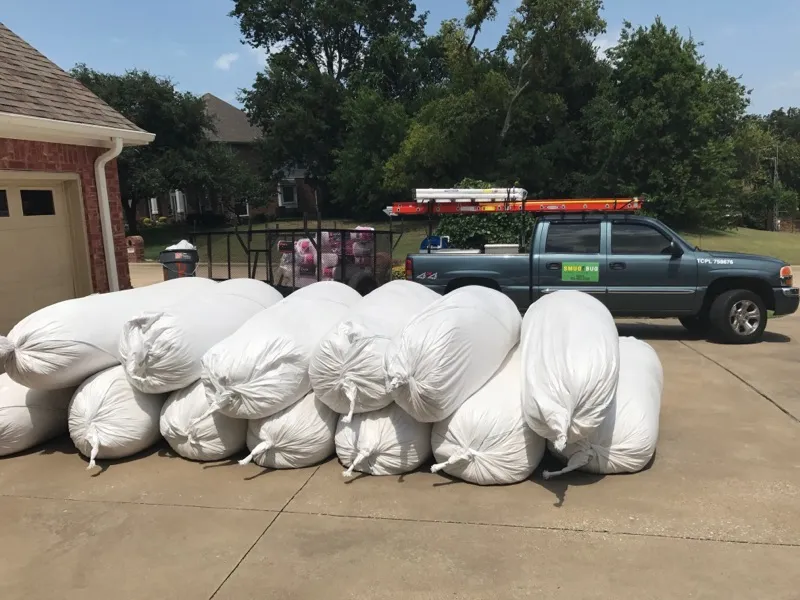 Smug Bug Pest and Termite Solutions in Dallas, TX — business photo 3