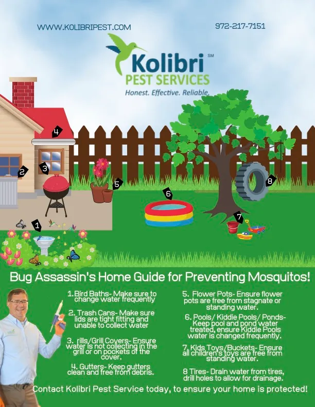 Kolibri Pest Services in Dallas, TX — business photo 4