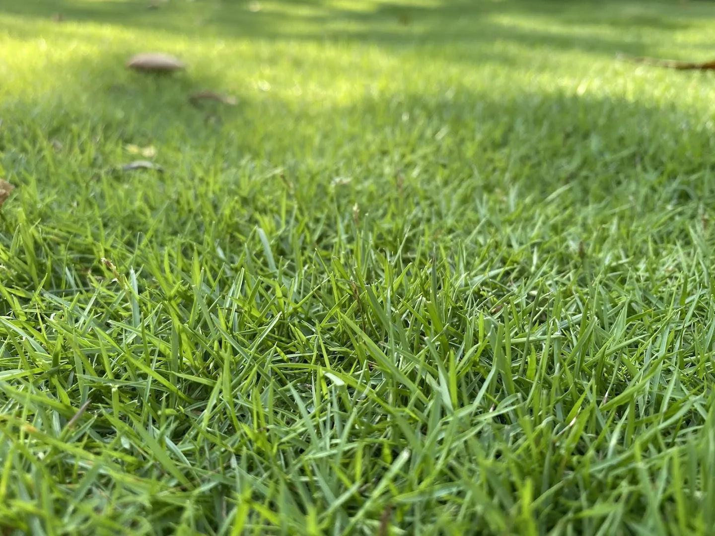 One Call Lawn and Pest Control in Waxahachie, TX — business photo 3