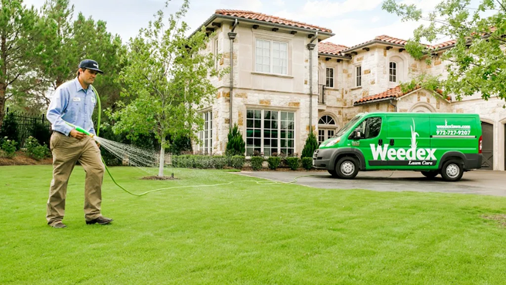 Weedex Lawn Care — pest control in Lewisville, DENTON County, TX