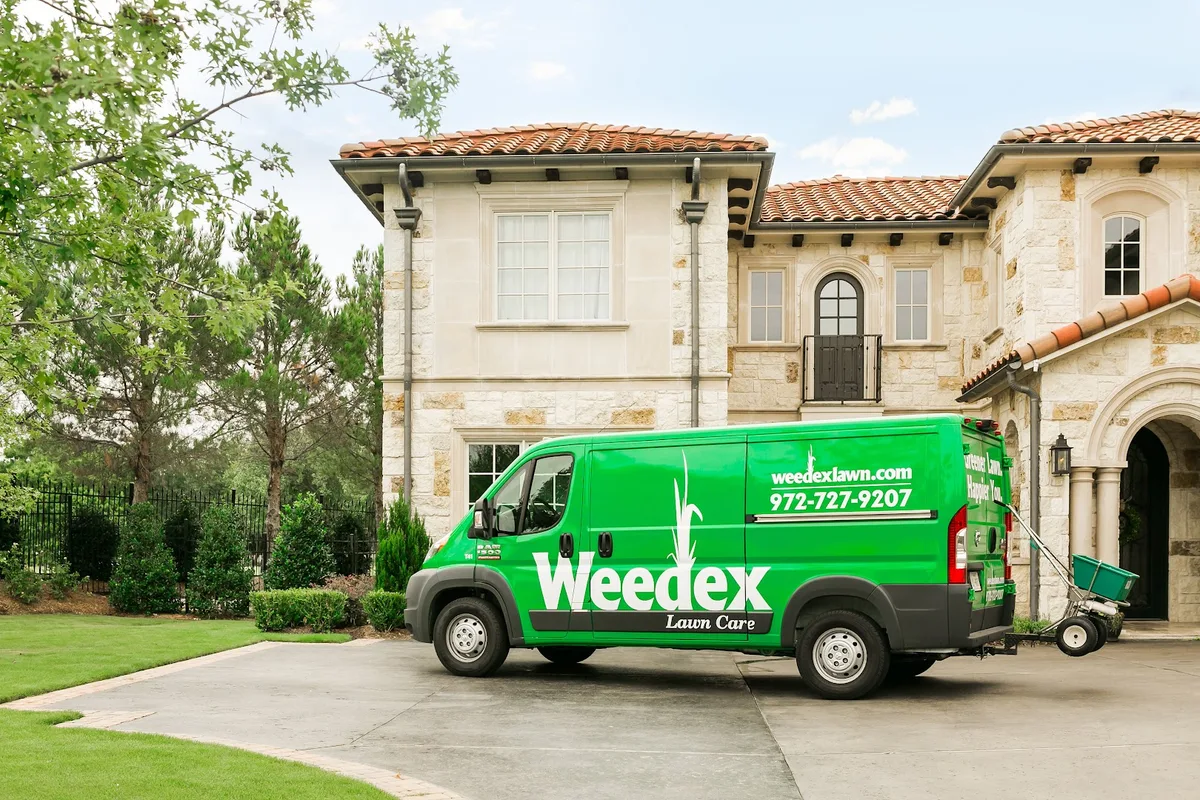Weedex Lawn Care in Lewisville, TX — business photo 5