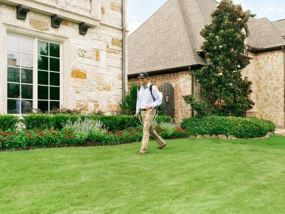 Weedex Lawn Care in Lewisville, TX — business photo 6
