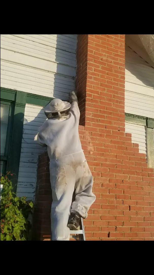 Rogers Moreland Pest Control — pest control in Beeville, BEE County, TX