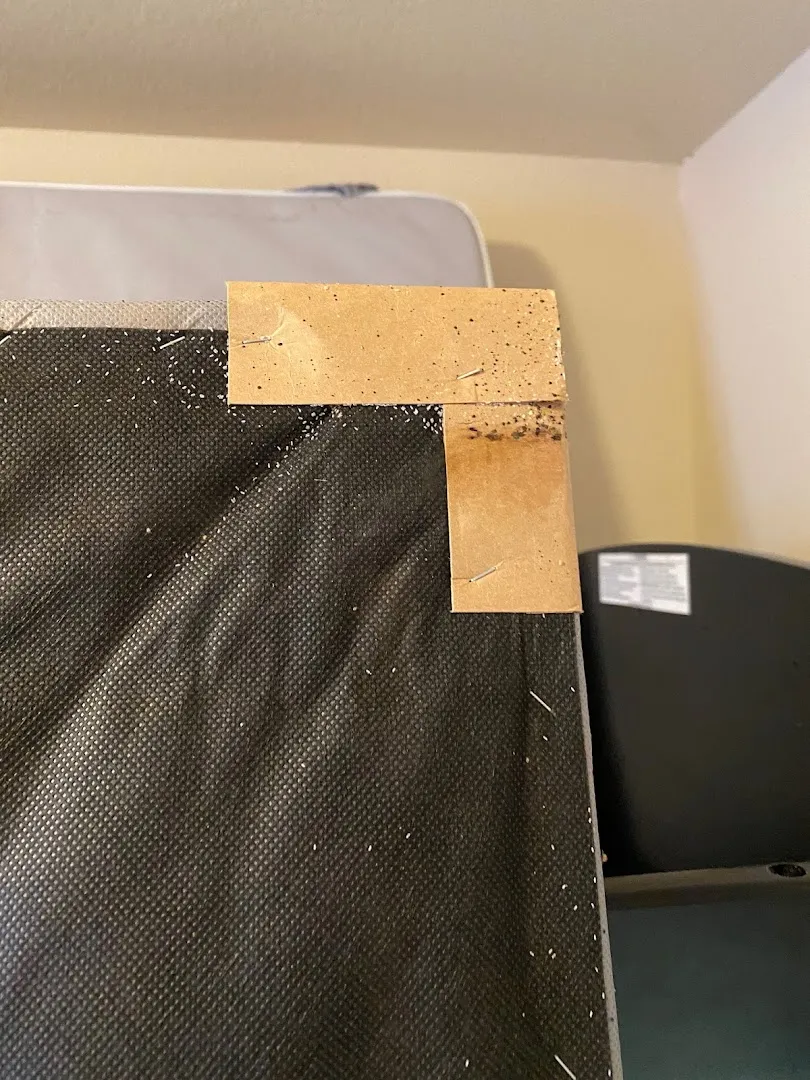 Doffdon Bedbug Exterminator in McKinney, TX — business photo 6