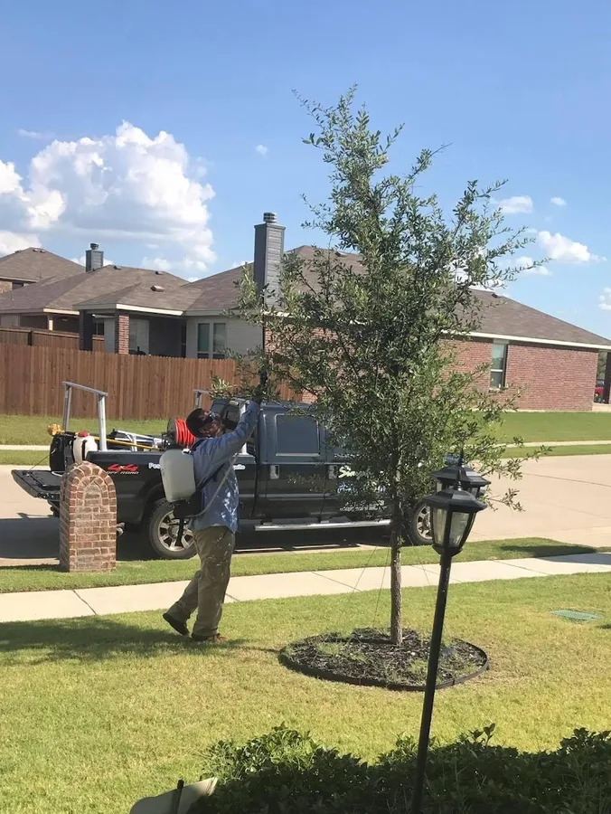 Simply Safe Pest Control — pest control in Oak Point, DENTON County, TX