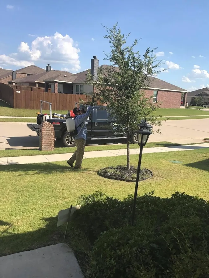 Simply Safe Pest Control in Oak Point, TX — business photo 2