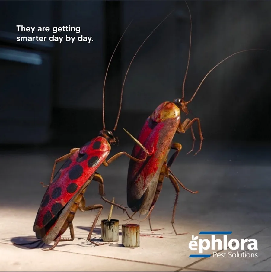 Ephlora Pest Solutions - Frisco in Frisco, TX — business photo 4