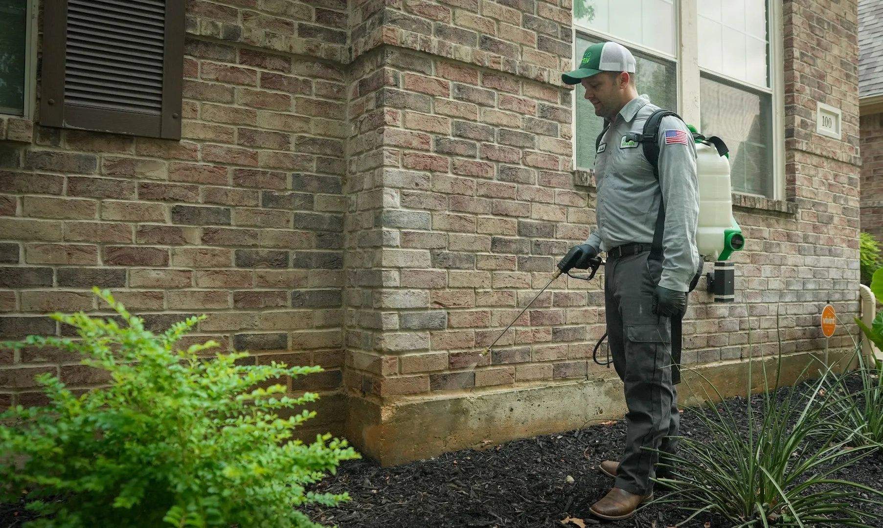 GoGo Gecko Pest Control in McKinney, TX — business photo 2