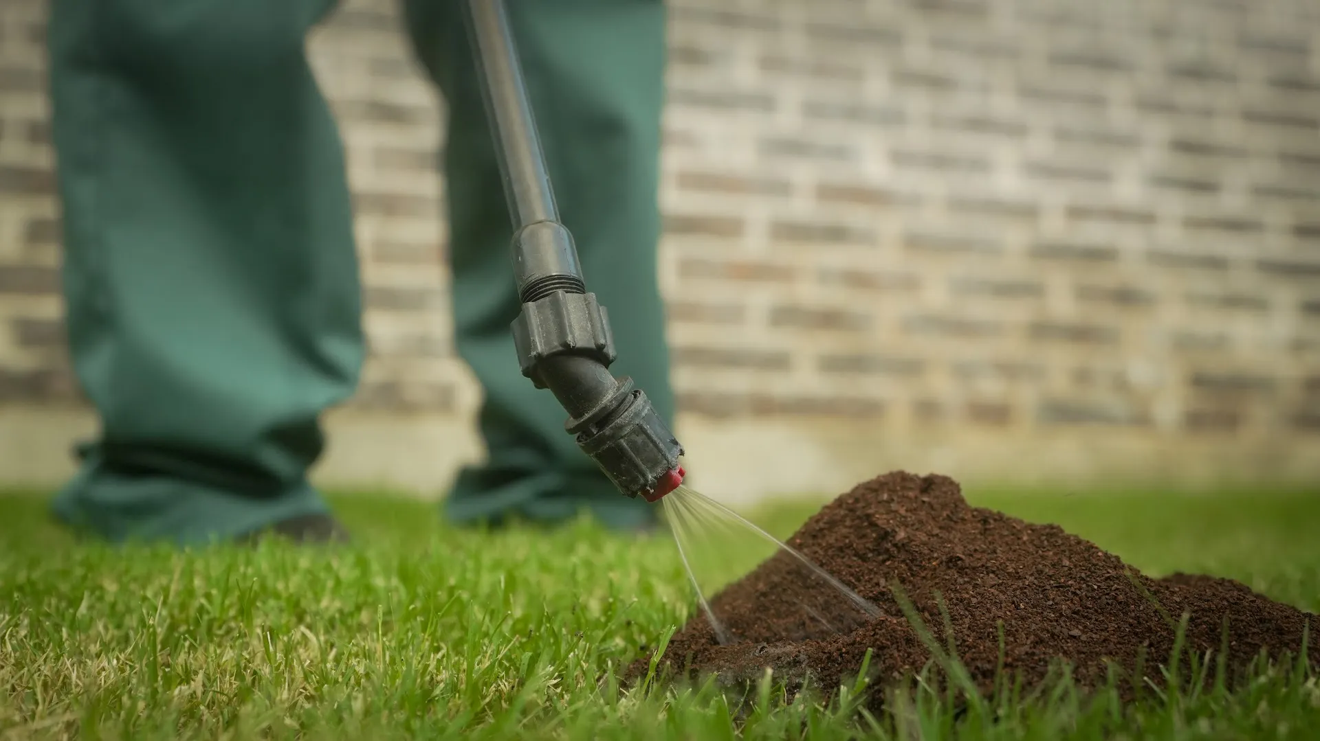 GoGo Gecko Pest Control in McKinney, TX — business photo 3